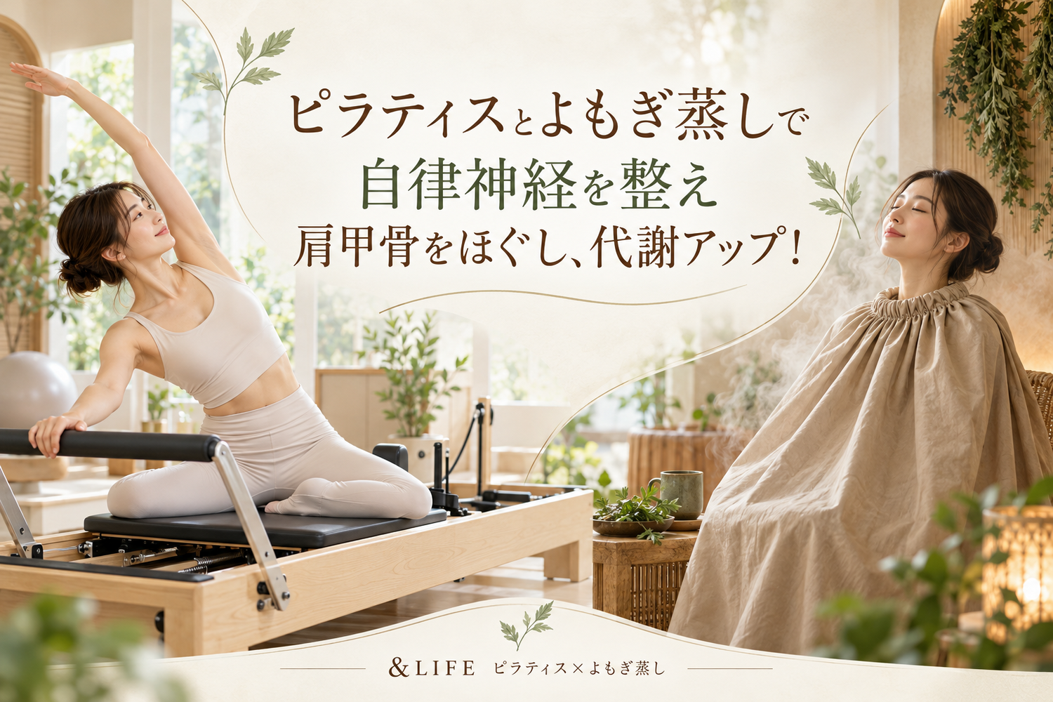 画像6445