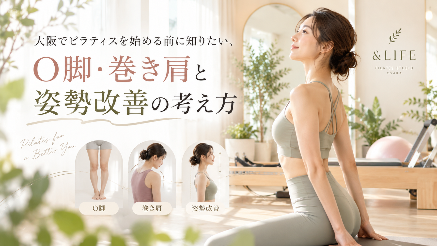 画像6681
